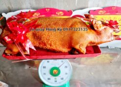 Heo Quay Lớn [ Từ 10kg Đến 15kg ]