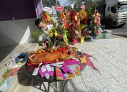 Heo Quay Cúng Khai Trương (HK1)